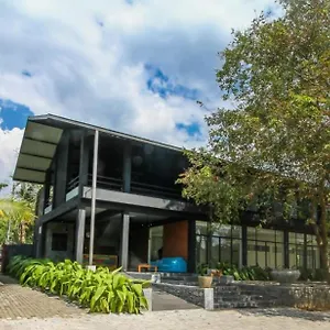 https://the-domain.negombohotels.net